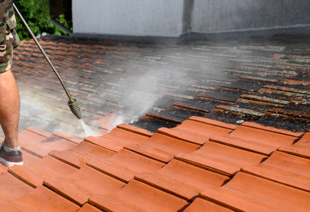 Best Pressure Washing Company Near Me  in Loma Ri, CA